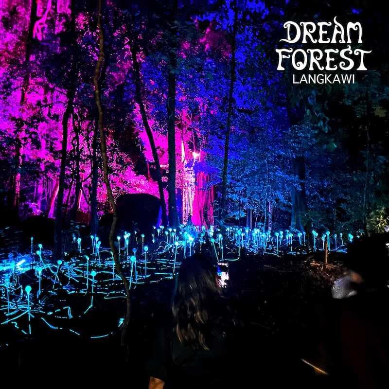 Top Tourist Attractions in Langkawi Dream Forest Langkawi